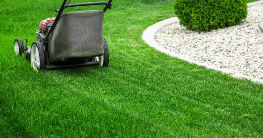 Practical Landscape Solutions in Auckland for Every Property