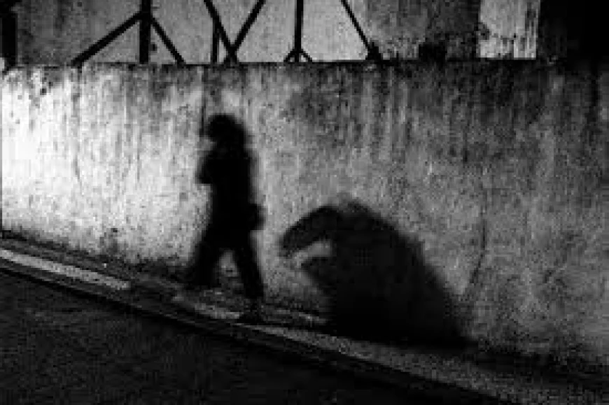 Living in the Shadows: The Hidden Realities Behind Invisible Lives