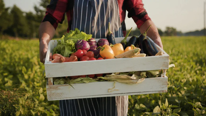 Wholesale Food Suppliers Directory: Finding the Right Partners for Your Business