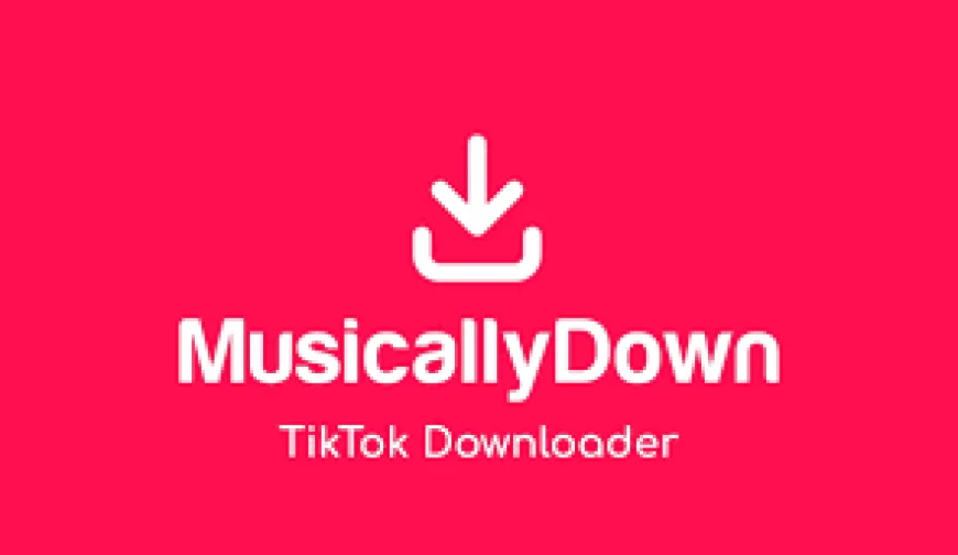 MusicallyDown - Best Tiktok Video Downloader without watermarks
