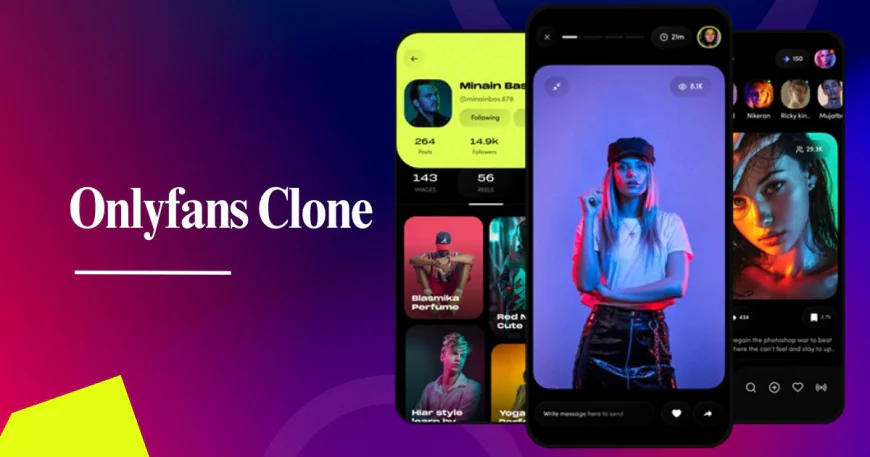 How to Choose the Perfect OnlyFans Clone Software to Boost Your Content Business