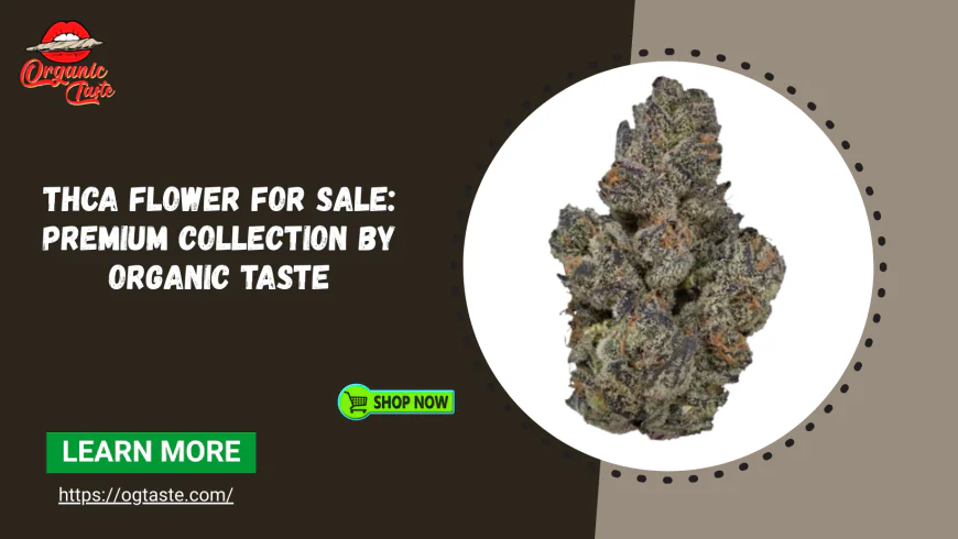 THCa Flower For Sale: Premium Collection by Organic Taste