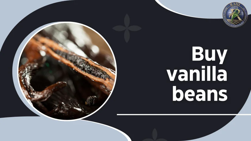 Buy Vanilla Beans Online: A Step Toward True Culinary Luxury