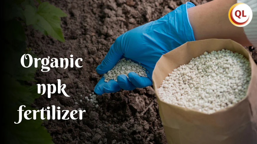 Organic NPK Fertilizer: Perfect Balance of Nitrogen, Phosphorus & Potassium