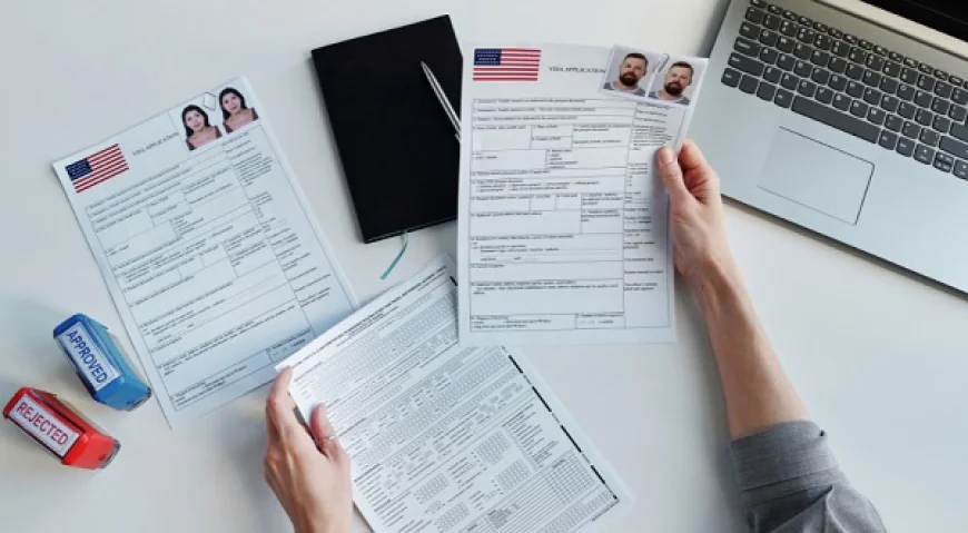 How USA Visa Consultants Can Improve Your Chances of Visa Approval