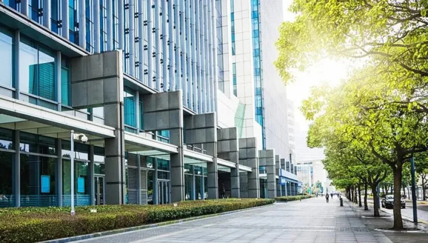 Expert Hurricane Window and Door Installation Tips