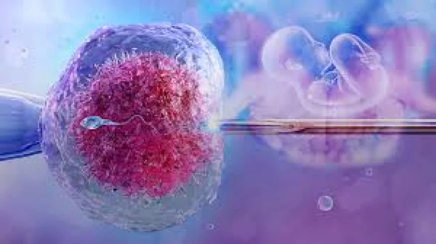 IVF Trends: The Future of Fertility Treatments