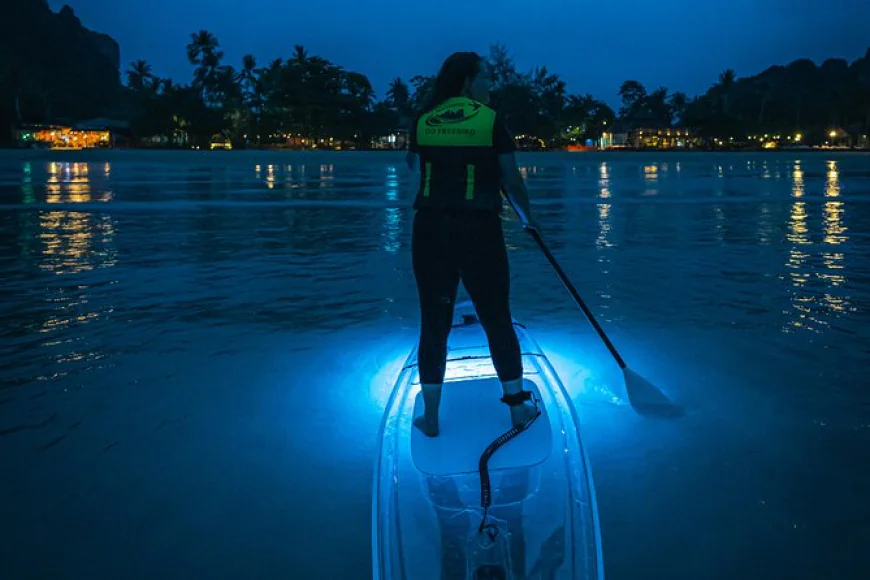 How to Use a Nocqua Battery Charger Effectively