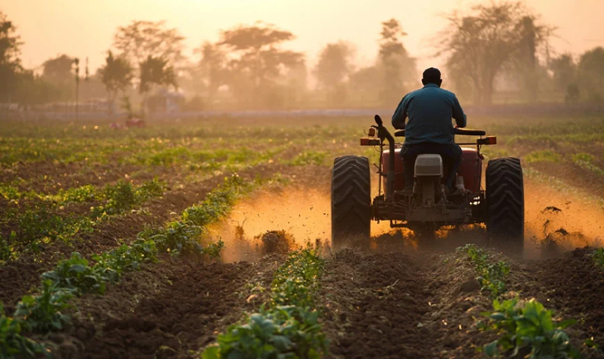Planning to Buy a Tractor for your Orchard? Consider these 10 Tips