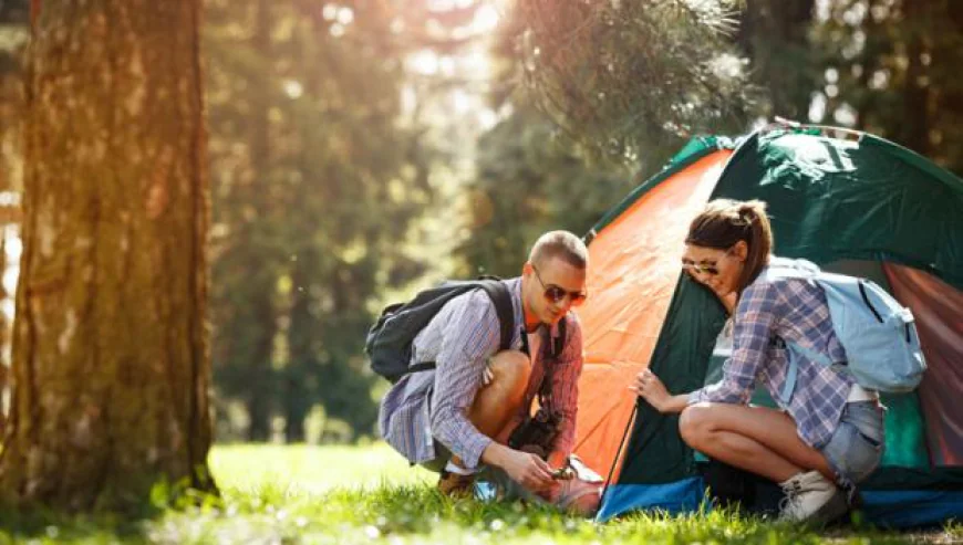 Top 7 Eco Camping Gear Essentials Every New Camper Needs