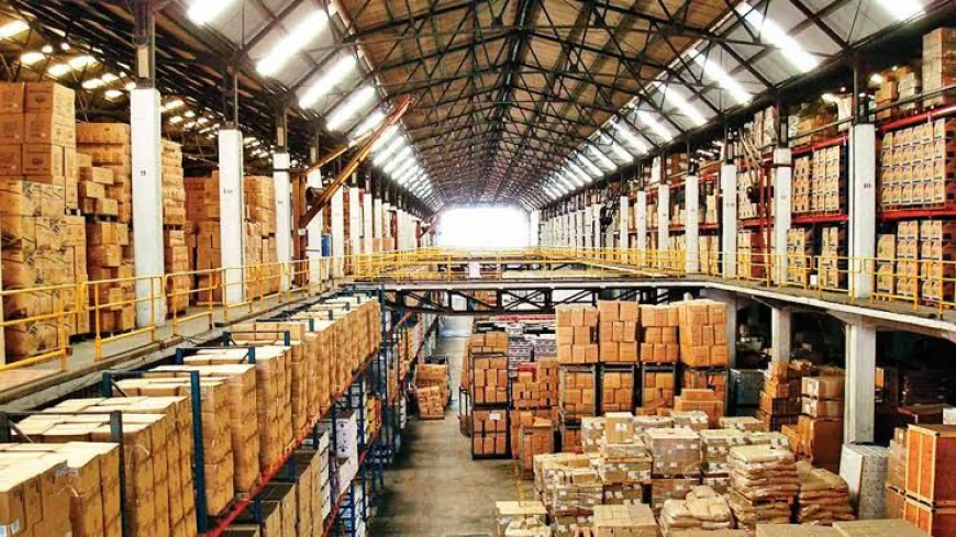 Efficient Warehousing & Distribution Services | Lucid Shipping