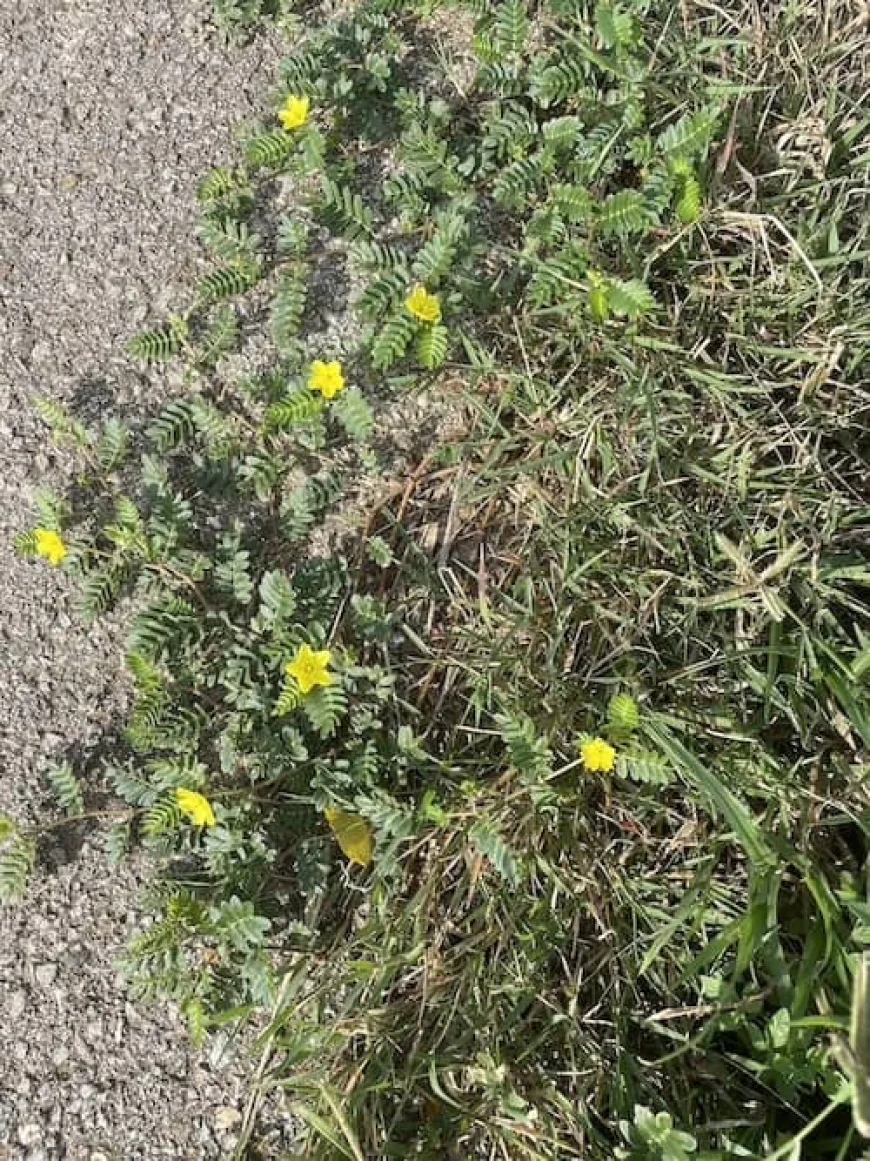 Gilba Solutions Pty Ltd