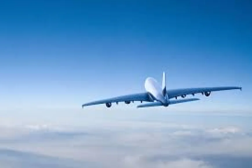 Are you confused about your terminal? Reach the American Airlines Booking Phone Number Los Angeles Airport