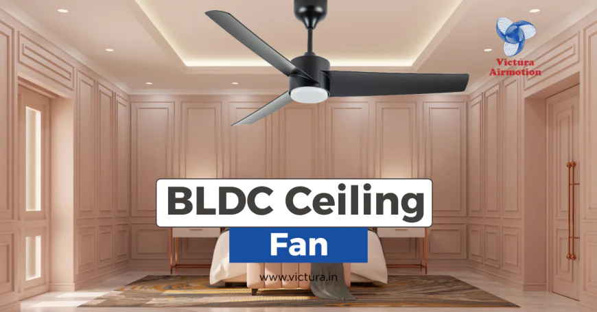 Why 1200 mm BLDC Ceiling Fans Are Becoming a Must-Have