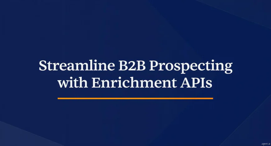 Streamline B2B Prospecting with Enrichment APIs