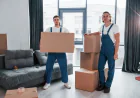 Top Benefits of Packers & Movers Services – DS Movers