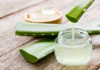 Everything You Should Know About Aloe Vera Extract Manufacturers