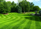 Grub & Weed Battle Plan: How to Choose the Best Lawn Care Service in 2025