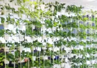 Create a Lush Urban Oasis with an Indoor Vertical Garden