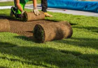 Essential reasons to hire trusted services of turf installation and landscaping services