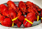 What Secrets Do Chefs Use in Lobster Bake Catering Maine to Impress Guests Every Time?