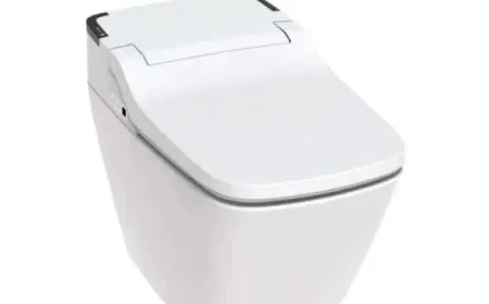 Integrated Bidet Toilets: Leading the Way in Modern Bathroom Comfort