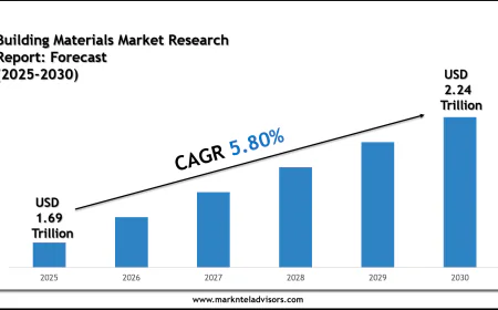 Building Materials Market Share, Size & Competitive Landscape Report 2030