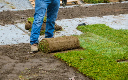 What’s the cost of sod installation in Texas?
