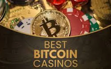 암호화폐 기반 온라인 베팅: 안전성과 미래 전망