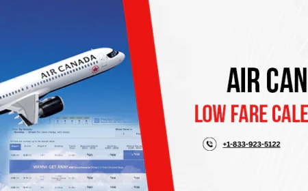 Can I Book One-Way Tickets on the Air Canada Low Fare Calendar?