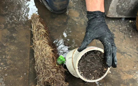 How Can Melbourne Homeowners Prevent Common Plumbing Emergencies?