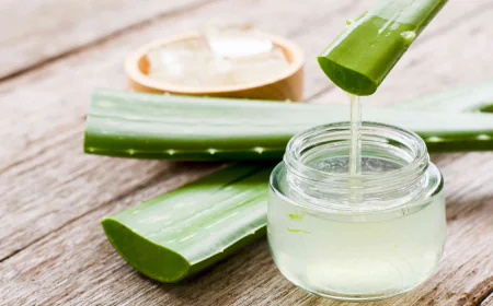 Everything You Should Know About Aloe Vera Extract Manufacturers
