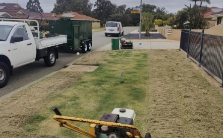 What Lawn Care Services Does Premier Lawn Care Offer?