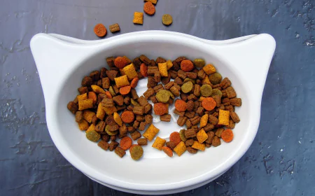 Dog Food Online Buy – Nutritious Meals for Your Pet’s Health