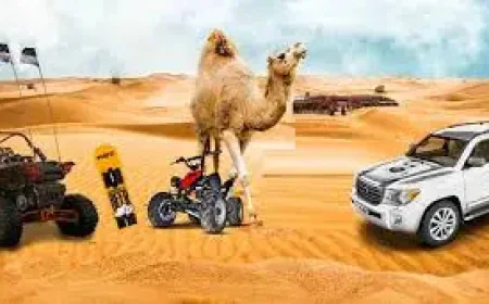 7-Day Dubai Itinerary with Desert Safari Adventure
