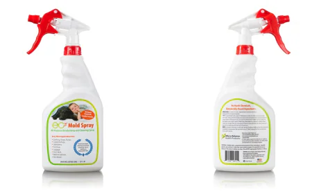 How to Remove Mold Spores from Your Pet