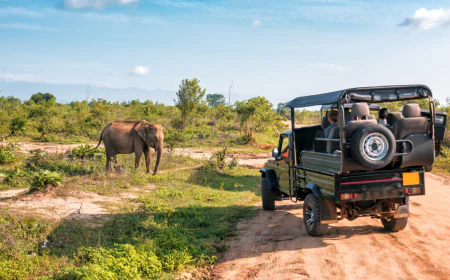 Top 10 Ultra-Luxurious African Safari Lodges You Must Visit Now