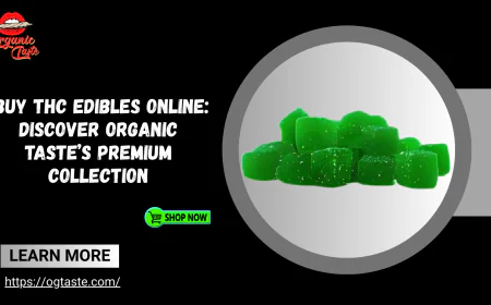 Buy THC Edibles Online: Discover Organic Taste’s Premium Collection