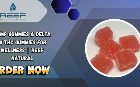 Hemp Gummies & Delta 10 THC Gummies for Wellness | Reef Natural