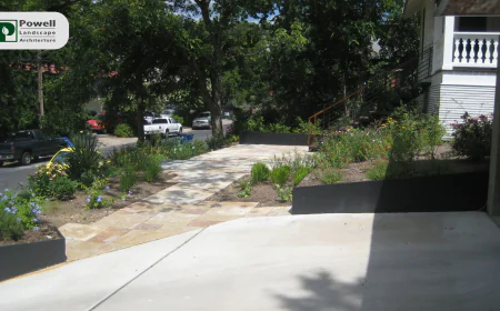How Today’s Landscape Architects Are Changing Austin Backyards?