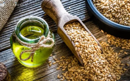Oilseeds Market Outlook 2025–2034: Size, Growth & Forecast Analysis