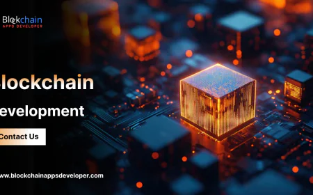 Blockchain Development in 2025: Where Businesses Find Real Value