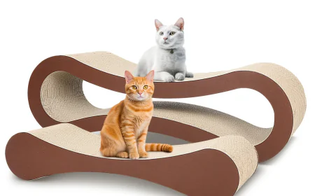 The Benefits of Having a Cat Scratching Post at Home