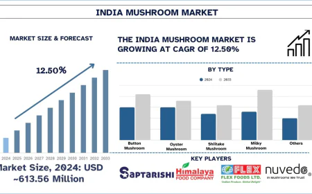 India Mushroom Market Size & Trends Forecast (2025-2033) | UnivDatos