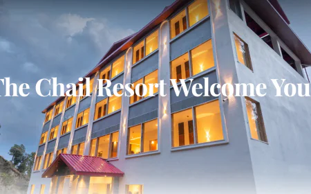 Luxury Hotels in Chail: A Perfect Blend of Elegance and Tranquility