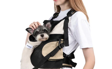 Choosing the Right Dog Carrier Carrier for Safe and Comfortable Travel