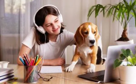 5 Essential Commands To Teach Before Dog Drop Off Training
