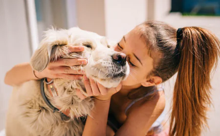 Services Offered by Heartstrings Pet Hospice Vets in Castle Rock