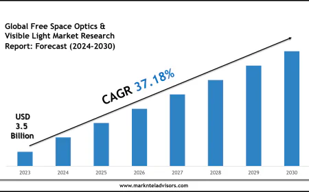 Free Space Optics & Visible Light Market Share, Size & Competitive Landscape Report 2030