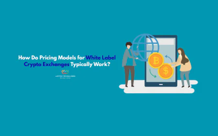How Do Pricing Models for White Label Crypto Exchanges Typically Work?